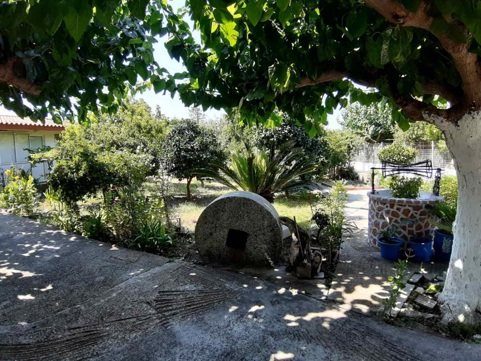 Glyfada'S Family Apartment Glyfada  Экстерьер фото